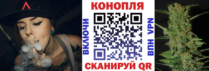 Бошки Шишки гибрид  Купить где  Вяземский 